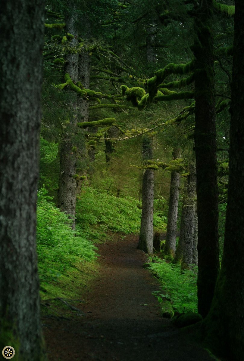 Persephone, Spring Goddess and Iron Queen tweet media