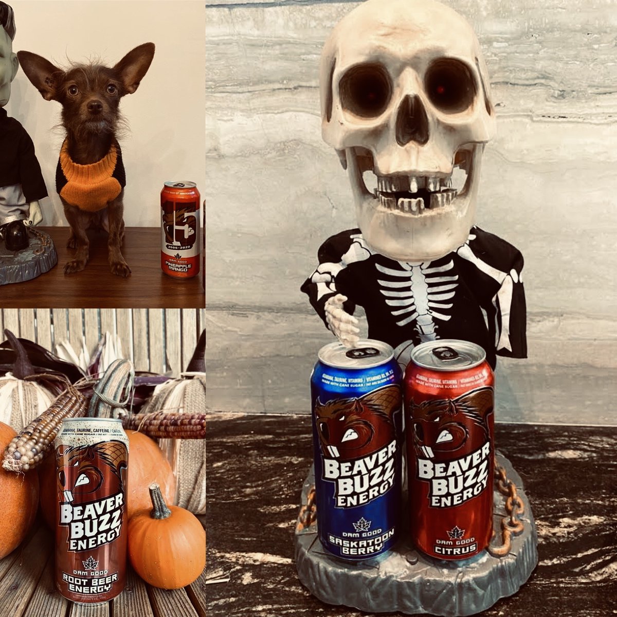 BeaverBuzzNRG's tweet photo. Happy Halloween to all you Buzz Maniacs!! We hope it's a good one!! #HappyHalloween2020 #HappyHalloween #Halloween #energy #caffeine #motivation #focus #energydrink #Kelowna #Vancouver #Eastvan #Abbotsford #Surrey #Victoria #Calgary #RedDeer #Edmonton #Regina #Saskatoon #Winnipeg https://t.co/ztJraENj9f