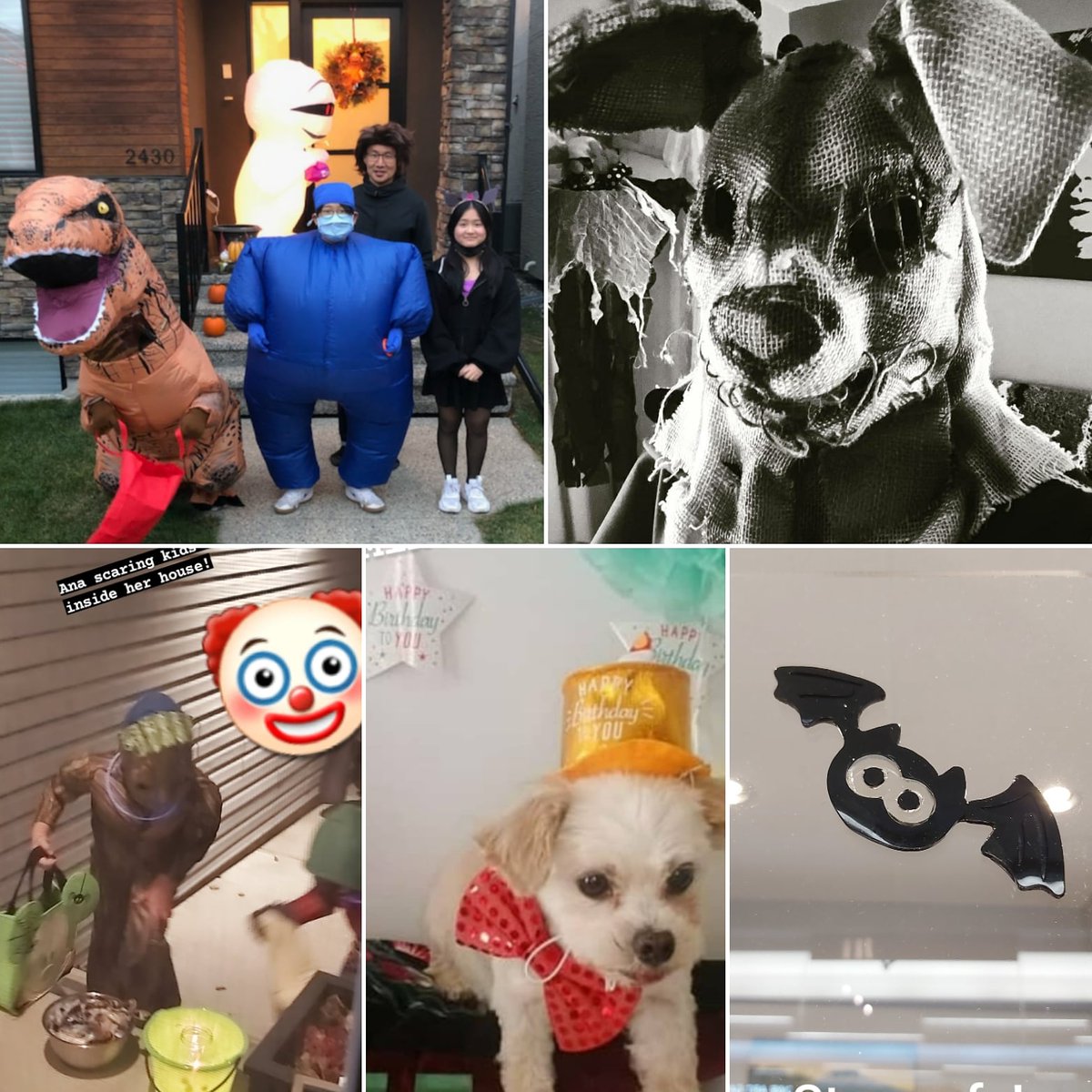 BowValleyChiro's tweet photo. Happy Halloween everyone! https://t.co/mNwl945Olg