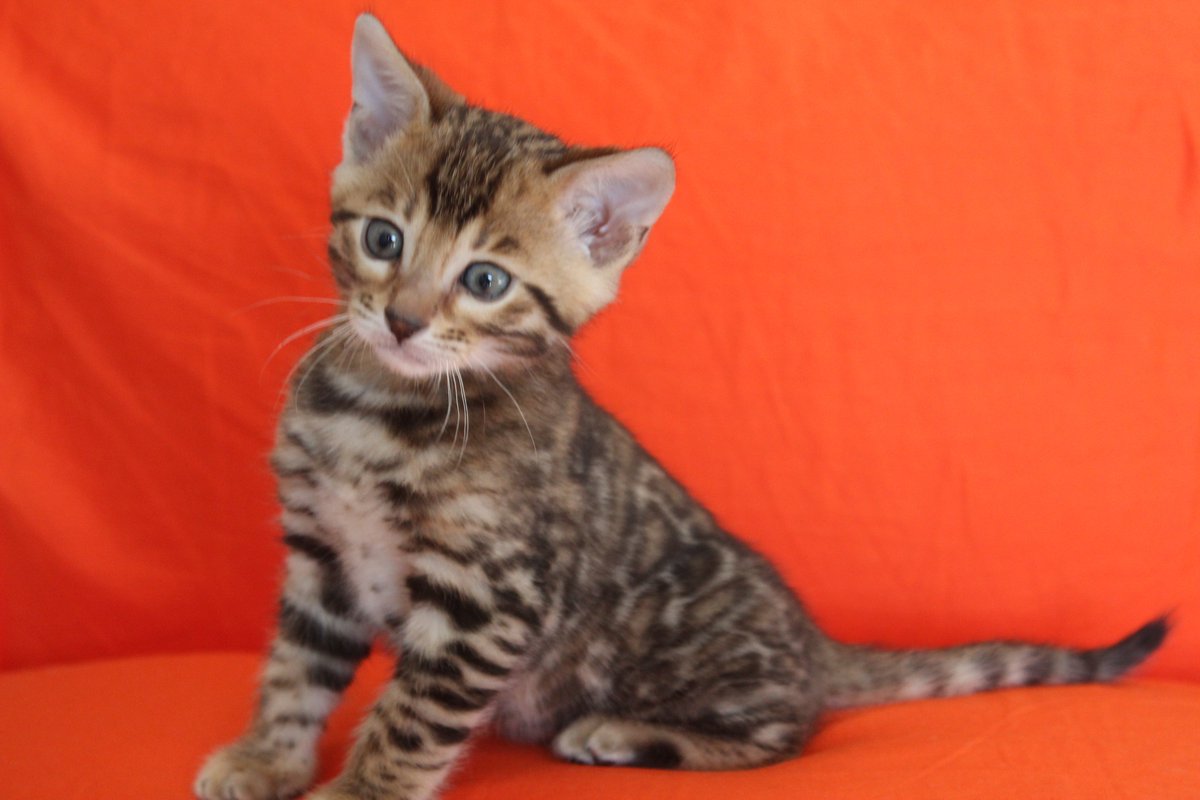 My adorable little boy grow up