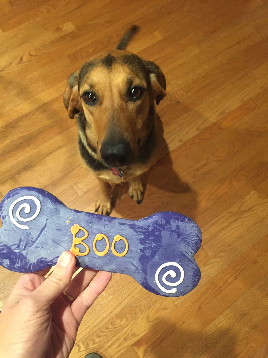 LandrusRegina's tweet photo. Happy Halloween 🎃 @dog_rates https://t.co/5luGRCb0Tz