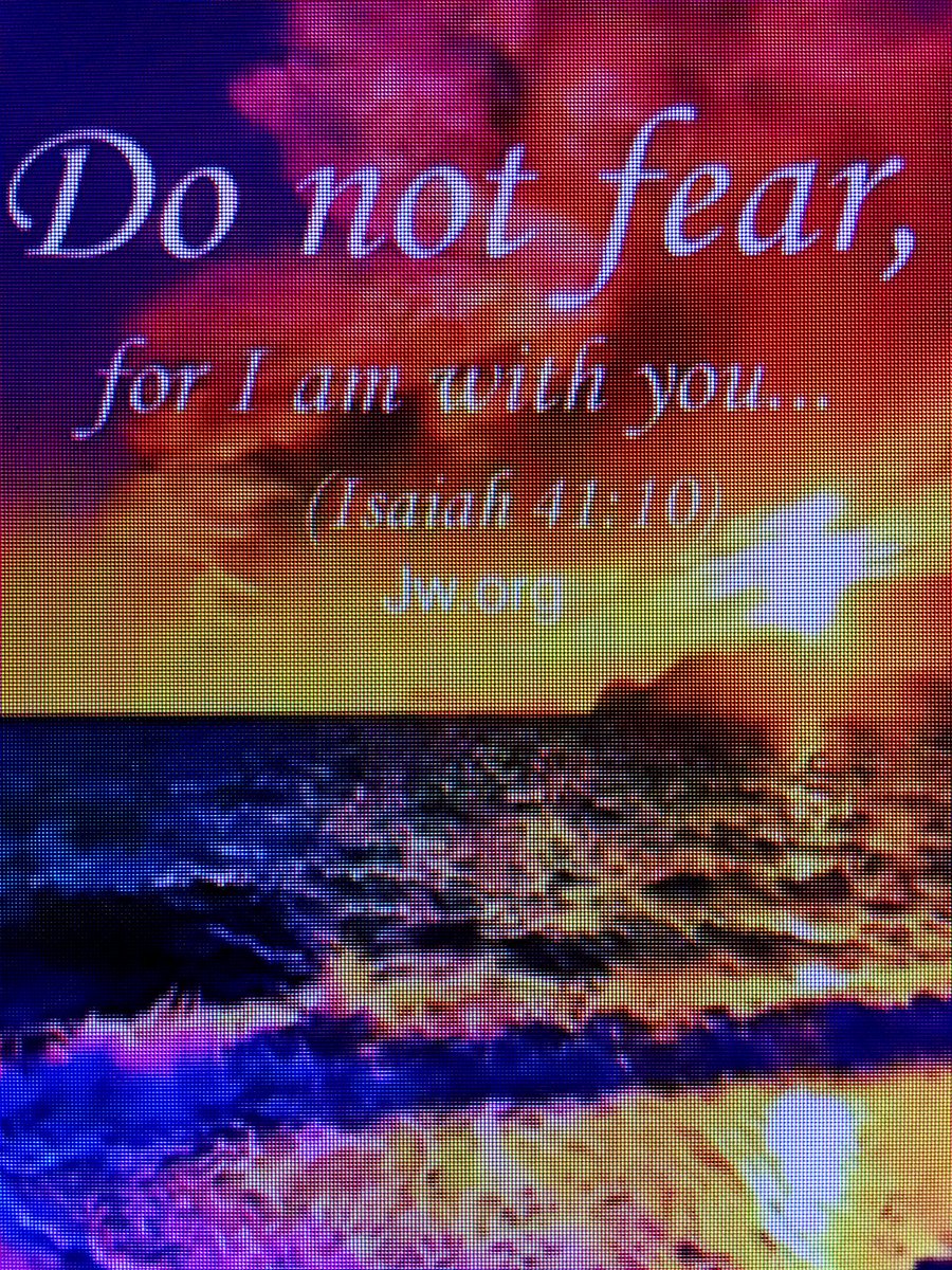 RitaMcDougald6's tweet image. Do not fear, for I am with you ...
-Isaiah 41:10