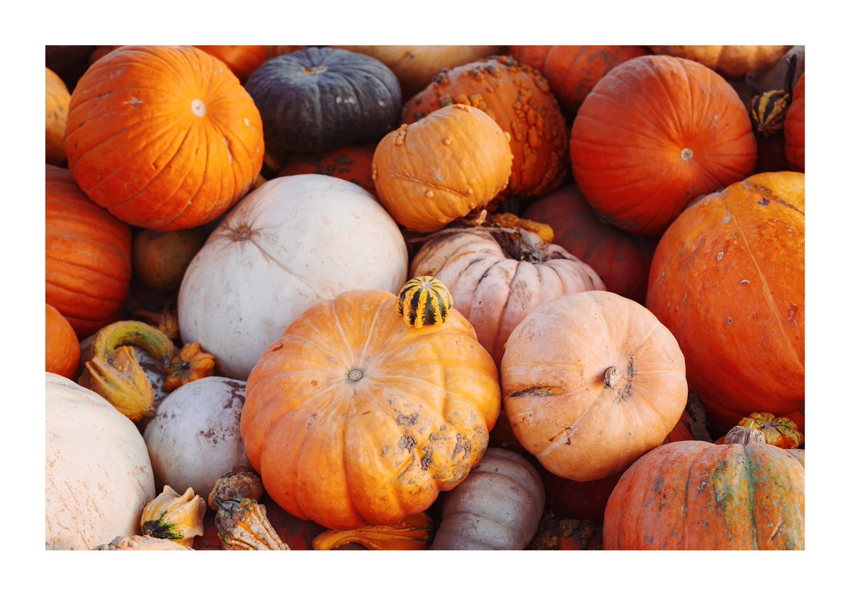 crspcarpenter's tweet photo. Happy Halloween 🎃 huge pumpkin sale tomorrow be ready. #SonyAlpha #a7iii https://t.co/xCDFZKlJXd