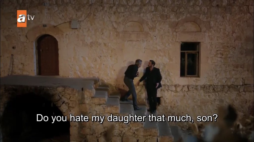 every time hazar slaps cihan 10 years are added to my lifespan  #Hercai