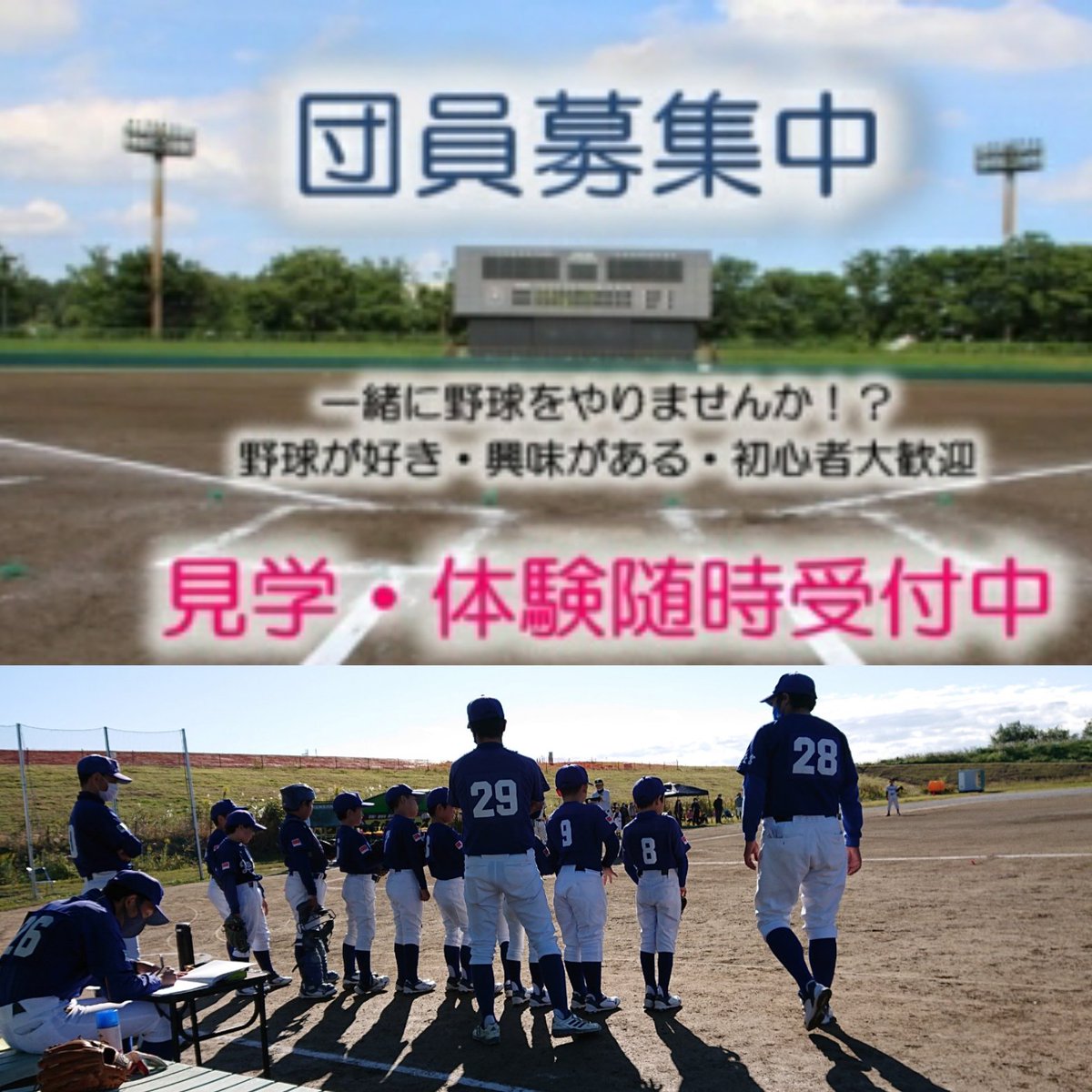 habocco's tweet photo. ⚾大宮ドラゴンズ⚾
11月体験会のお知らせ
日時:11月3日(火)  10:00～11:30
場所:東大成小学校
大宮ドラゴンズhttps://t.co/771xnIfHOU
#さいたま市 #少年野球 #体験会 #団員募集 #大宮 #宮原 #東大成 #宮前 #植竹 #三橋 #吉野 #大成 #一緒に野球しよう https://t.co/SiI2J1ynST