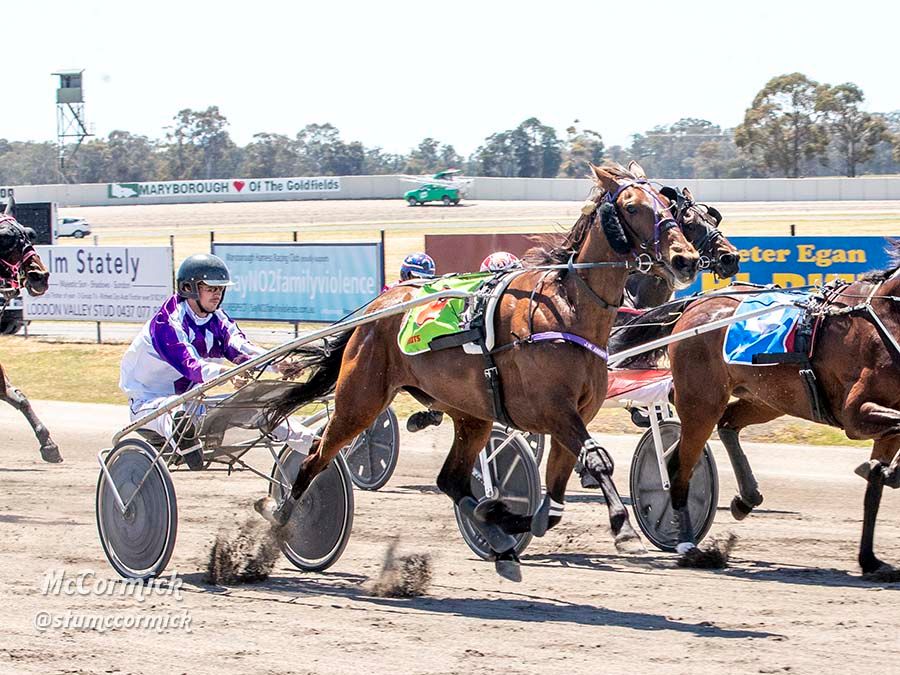 TheTrotsComAu's tweet photo. We're off and trotting at Maryborough #RedwoodDay. Jason Ainsworth and @ChrisAlford5000 with early winners From The West and Thats Not My Gait. Full Trots Vision coverage at https://t.co/v4sFeczRkU #TheTrots
📸 @stumccormick https://t.co/FM6SIxSncn