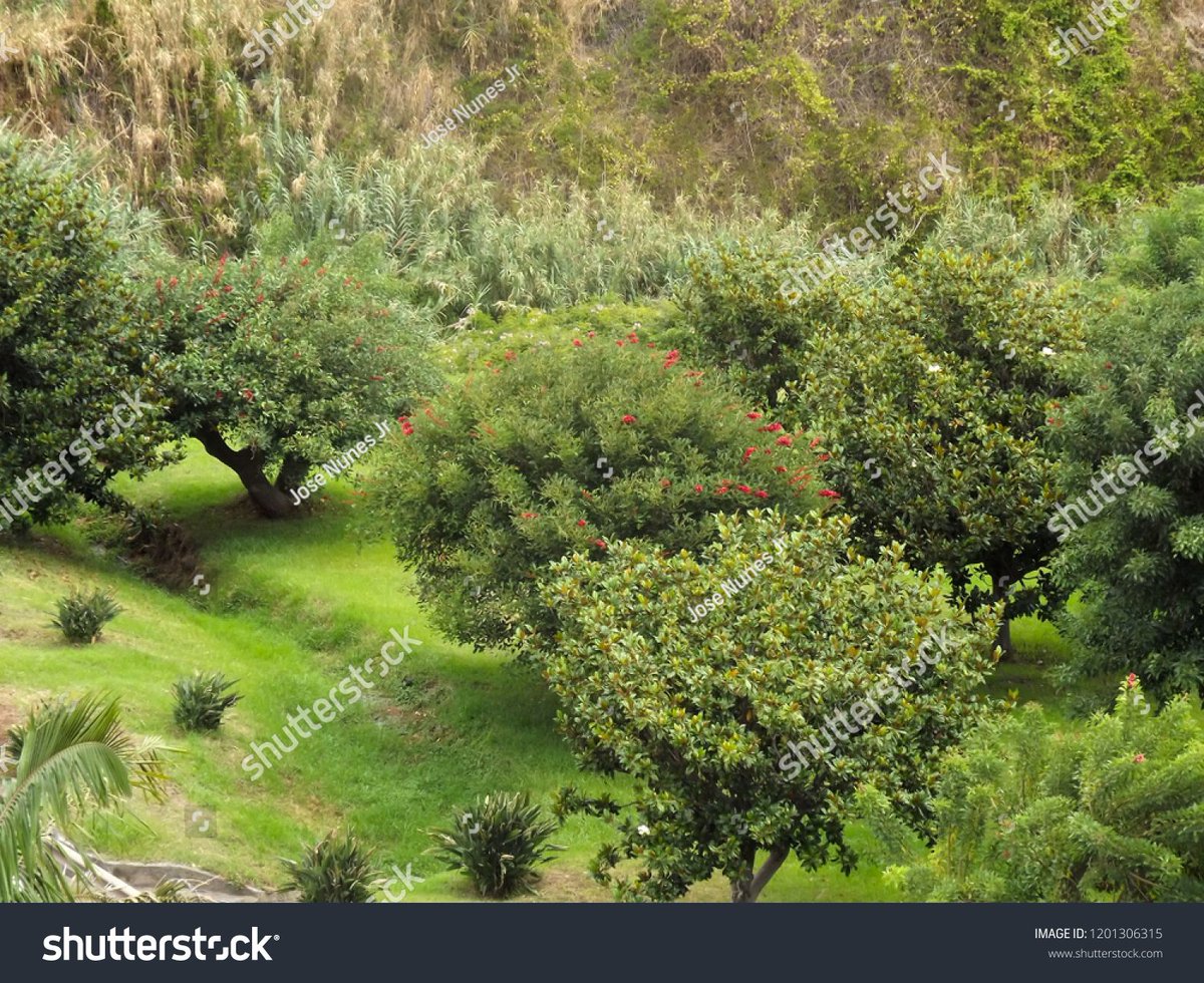 moments20i's tweet photo. https://t.co/jwirWGWSGZ
.
.
.
#Beautiful #green #Clouds #Plants #travel #Rock #park #Photography #picoftheday
#tree #fotografia #photography #foto #photo #photooftheday #nature #Red #like #fotos #follow #photoshoot #natureza #pictures #SquareSquare #shutterstock https://t.co/kSPKRHmypT