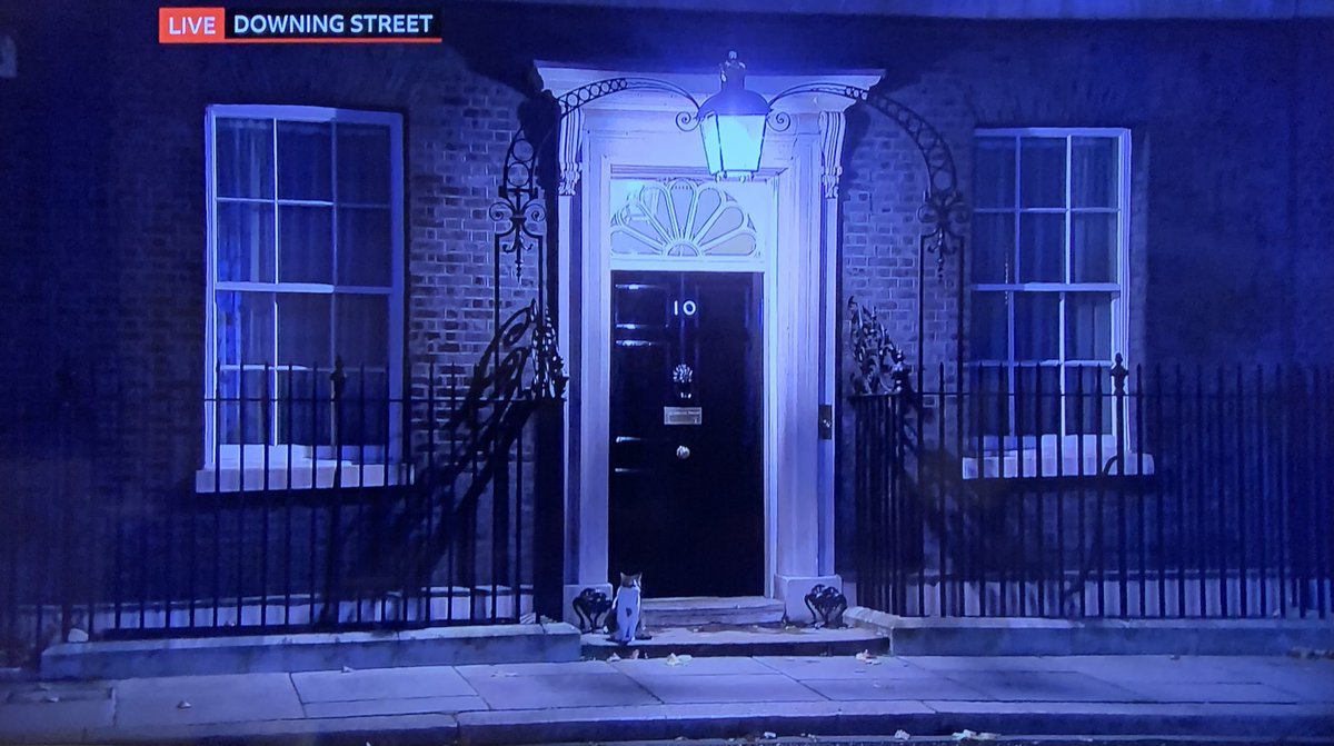 oselbam's tweet photo. @Number10cat Larry, thank you for your appearance during the long wait! We will definitely get through this together! https://t.co/s8kkbl24Us