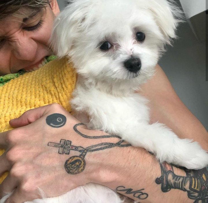 CAlagoanas's tweet photo. Chris: "El taco 🌮 mas rico que eh probado en mi vida"

Ollie: Eu sou uma piada pra você? https://t.co/3HvO2EjAN4