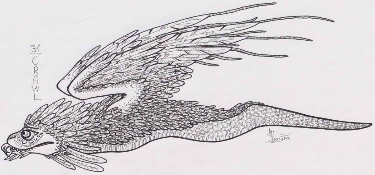 ThaigraForRealz's tweet photo. Day 31 of #inktober2020 !
A finale! It's been really fun this year as well. I figured: more things I find fun to draw, a new way to draw feathers and that making simple drawings can be really pleasant ^^
#Inktober https://t.co/wvwFdTsVLI