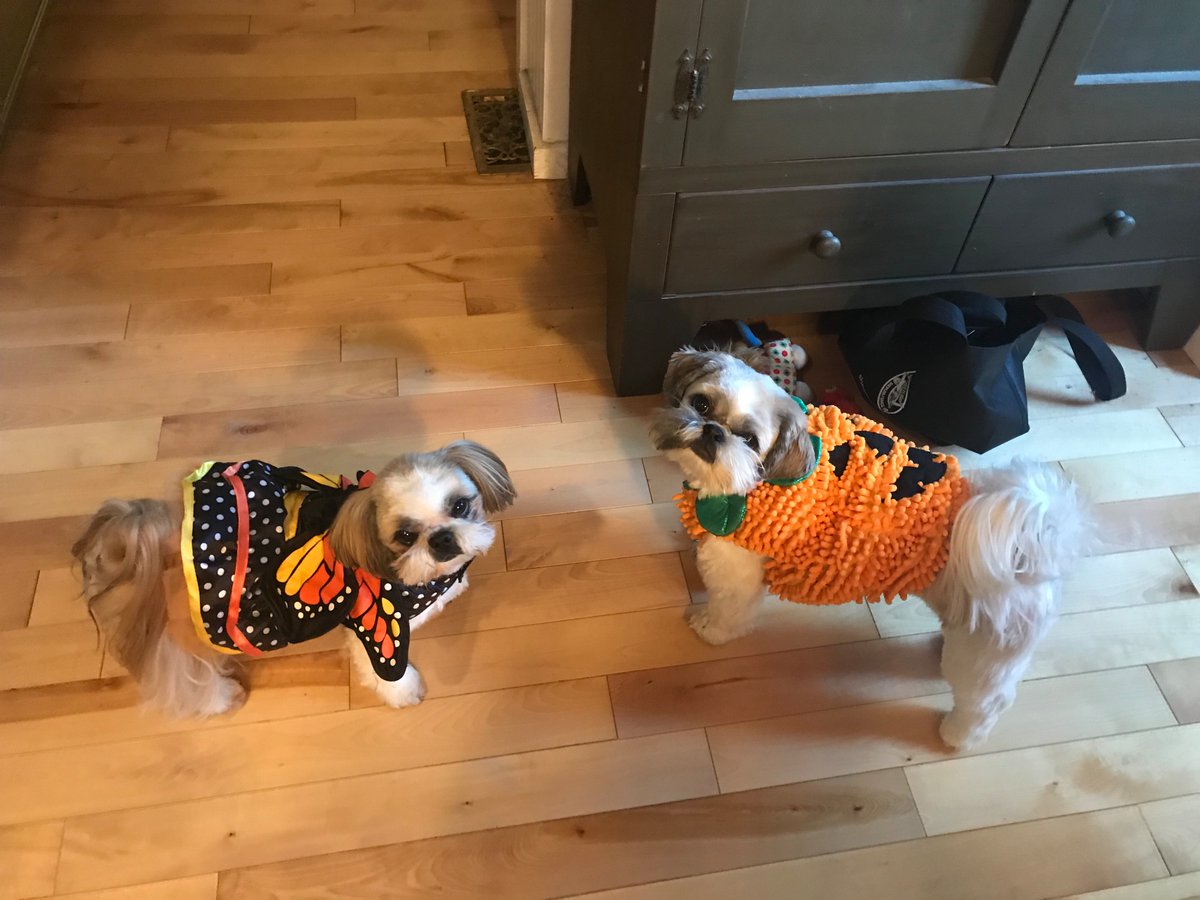 All dressed up but nowhere to go #Halloween