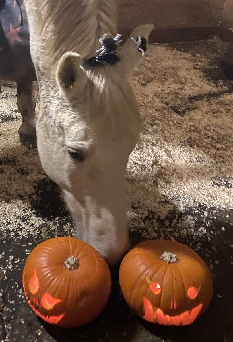 ph_justice's tweet photo. There is something scary happening tonight🎃🎃🎃 https://t.co/HkjwdFrfJR