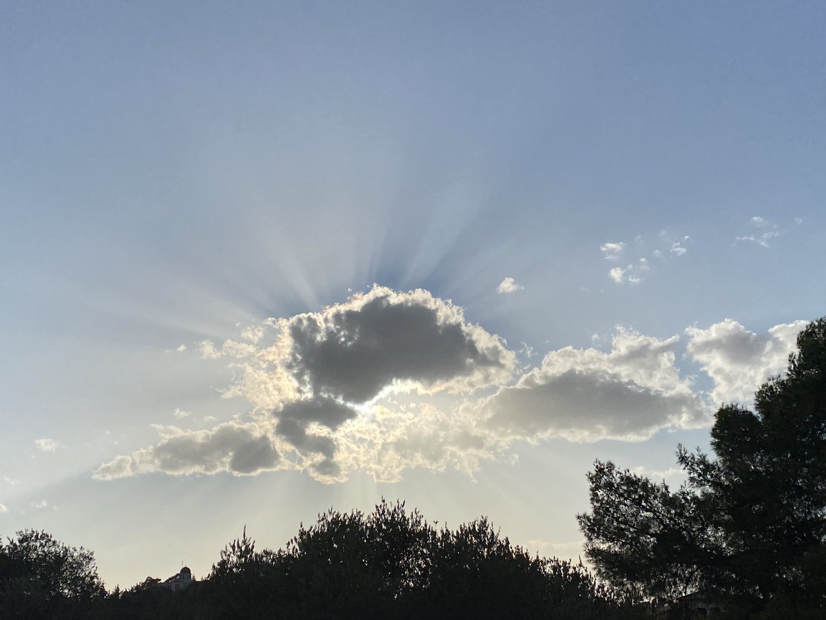 MurmurationsJ's tweet photo. New issue of @MurmurationsJ! "The writers in this issue and across the Pandemic as Systemic Flux website speak in ways which require new listening - a wide openness - which suspends taught theory and received expectations from dominant cultural values." https://t.co/8Qp1ssBd1m https://t.co/S9HGVKX78x