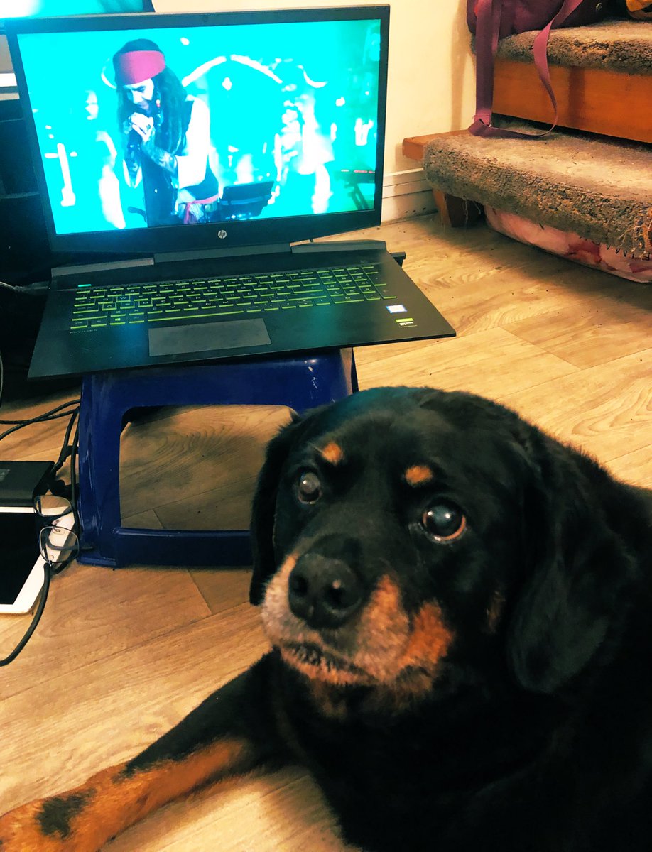 JordanTC1999's tweet photo. My dog is loving watching the show with me @LiamPayne #lphalloween https://t.co/49okFtckQH