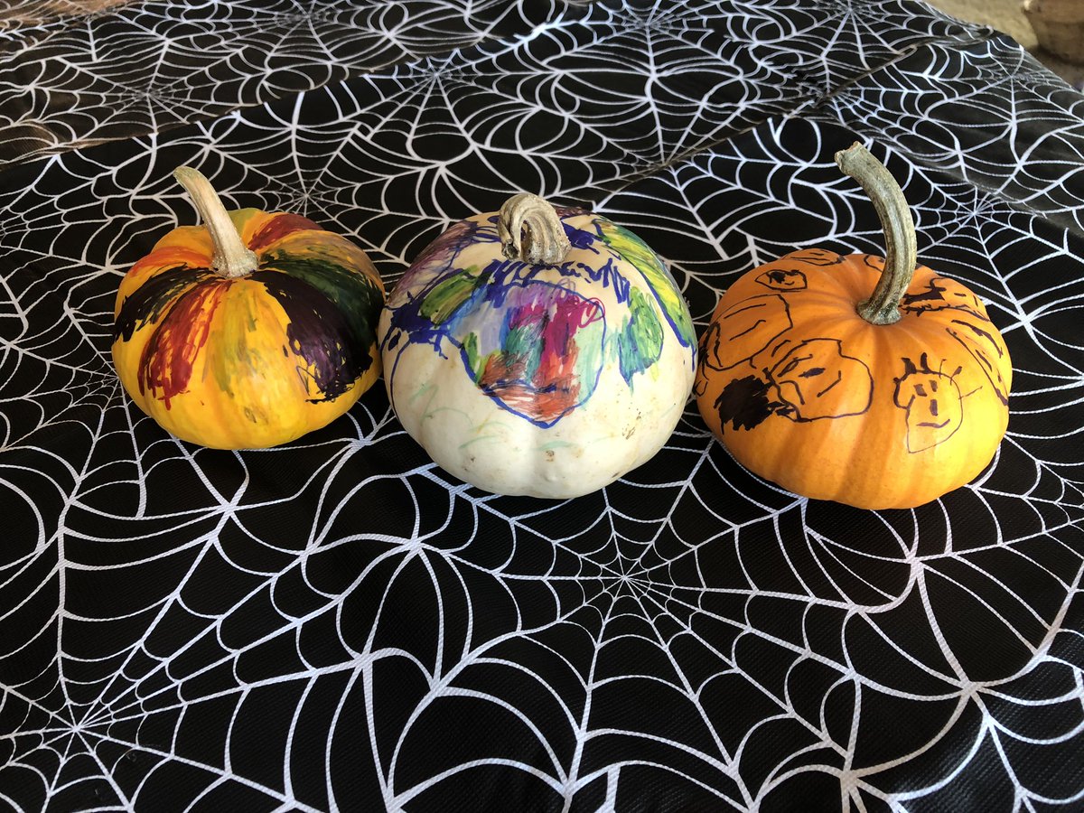 Penchant4Words's tweet photo. @sam_aye_ahm We’ve got the Great Pumpkin coming to visit later tonight and have a row of most sincere pumpkins ready! #TinyCraig has been assured he’s masked up! https://t.co/TvNMfWC1hz
