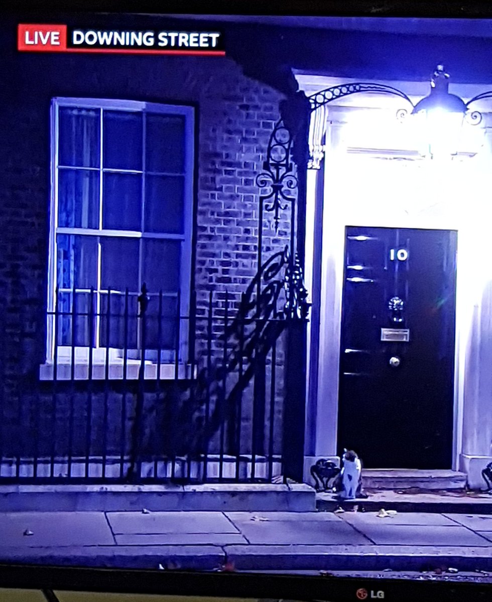 milliekitty12's tweet photo. @Number10cat Pleased to see you on tv earlier https://t.co/UJjrBhIJOX