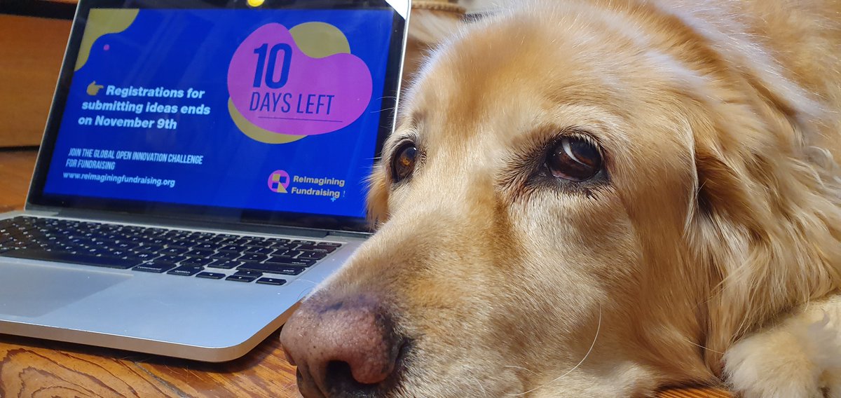 🌈  Last 10 days to submit your idea!  "Azul" , my dog is looking at you to submit your idea for #ReimaginingFundraising
I'm working on mine. And you ???
👨🏻‍💻 👉🏼 Join me and this epic group of 14 International NGOs bit.ly/RFundr3
#NGO #Innovation #fundraising