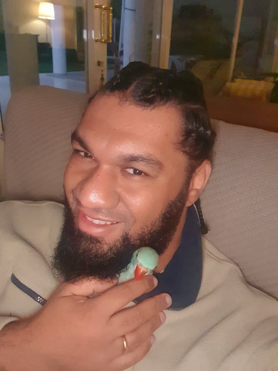 PREGADORLUO's tweet photo. T'Challa, meu companheirinho de @UFCBrasil @ufc vai assistir a primeira (e talvez última) luta do tio @SpiderAnderson 🕷 #GoSpider https://t.co/1Xk4mot9Ck