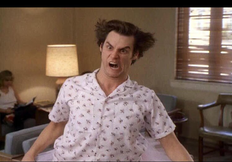 CourtCarlson7's tweet photo. Alllllll righty then @JimCarrey 

#Halloween2020 #AceVentura https://t.co/CnTpGP0lSY