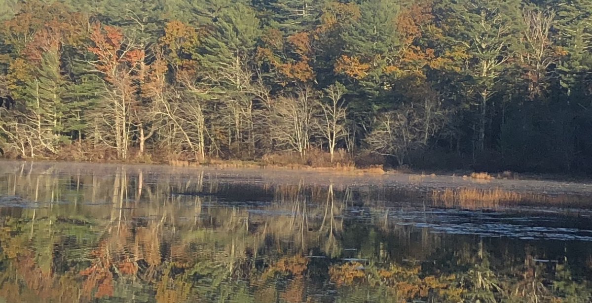 bizarchive's tweet photo. Perfect afternoon to take advantage of the last day before daylight saving time. #breakheartpond #exeterri https://t.co/Dmdi4Ada0G