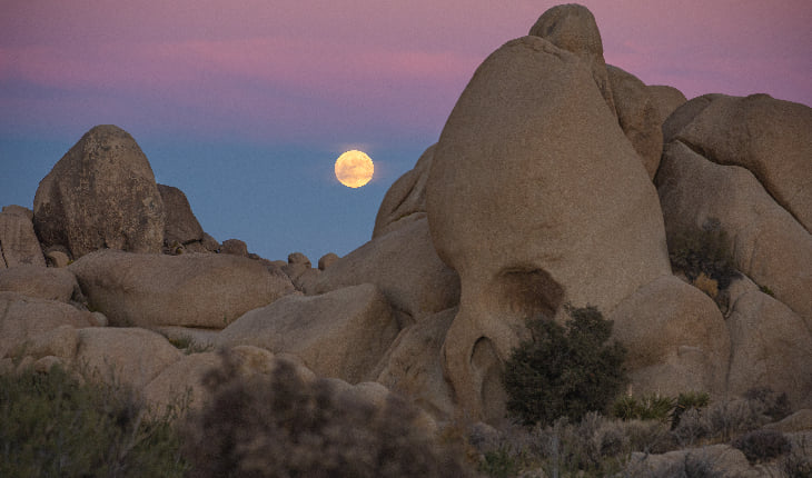 StellarInsights's tweet photo. Full Moon ~ Taken by Tyler Leavitt on October 30, 2020 @ Joshua Tree CA https://t.co/UxDCN1KCAY