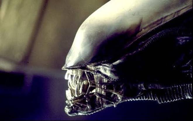 18.Quem: Christopher NolanFilmes que dirigiu: O Grande Truque (2006), Tenet (2020) e Batman Begins (2005)Filme de terror favorito: Alien - O 8.º Passageiro (1979)Diretor do filme favorito: Ridley Scott