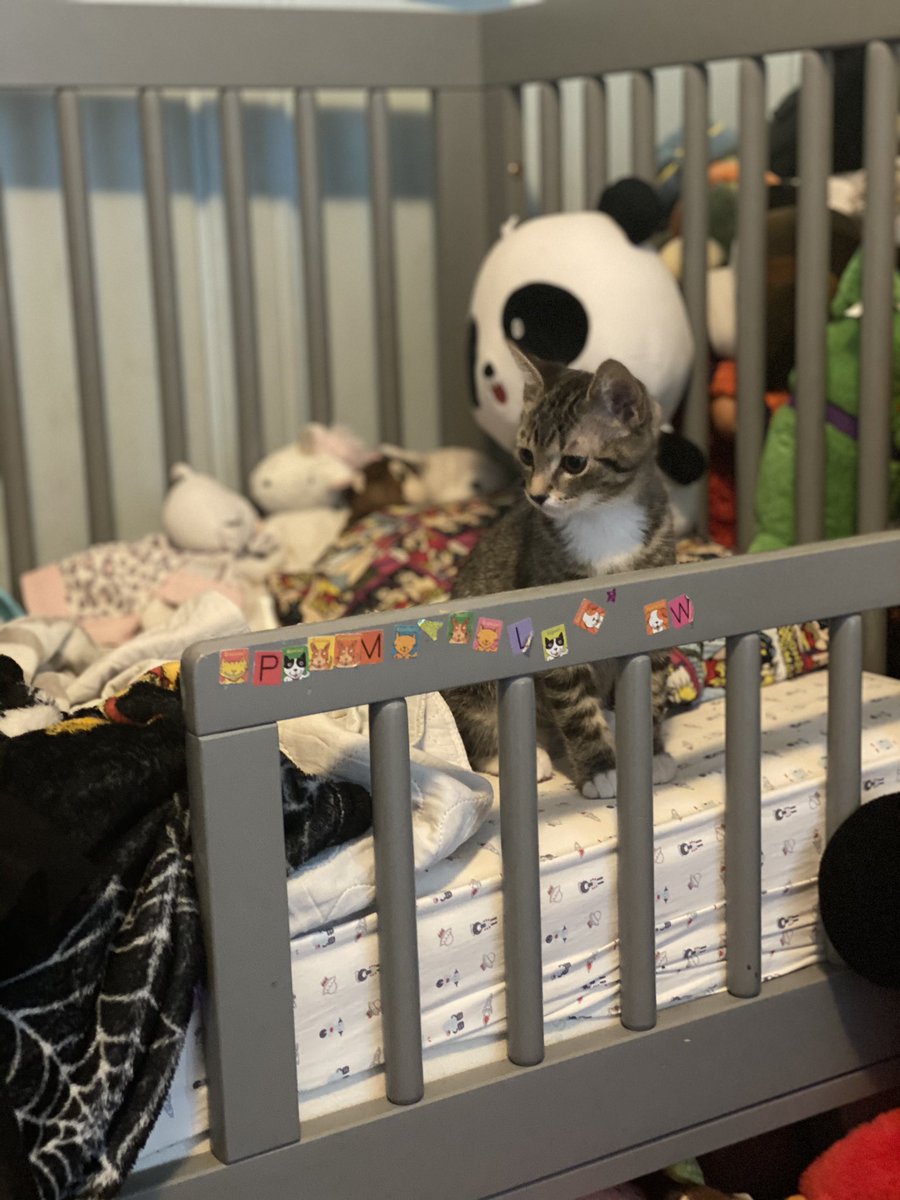 It was fun riding home with cute as my co-pilot