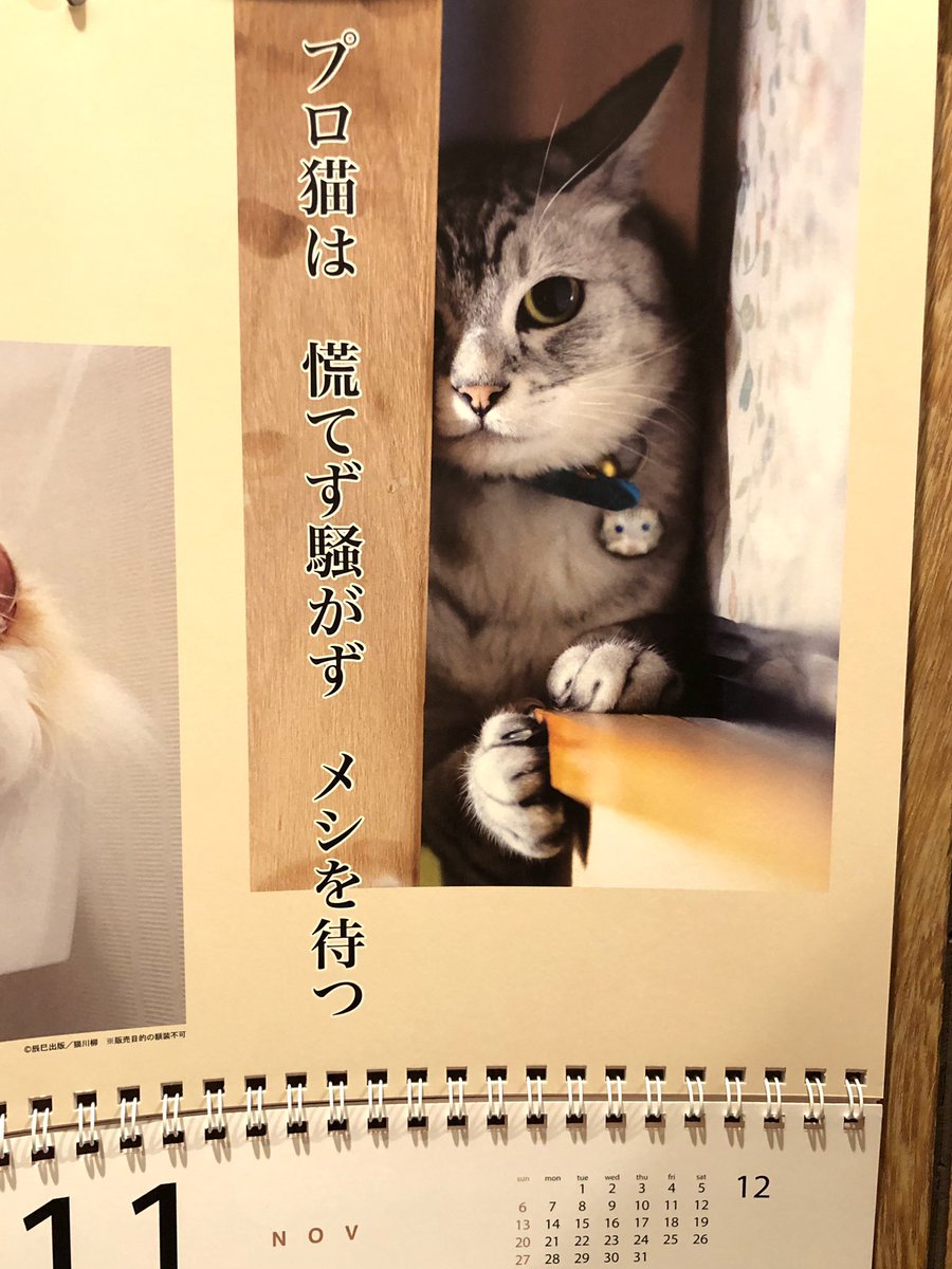 猫川柳カレンダー
