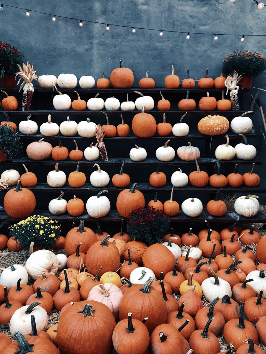 StationhouseDC's tweet photo. Happy Halloween 🎃 https://t.co/ZVRDox9Mfy