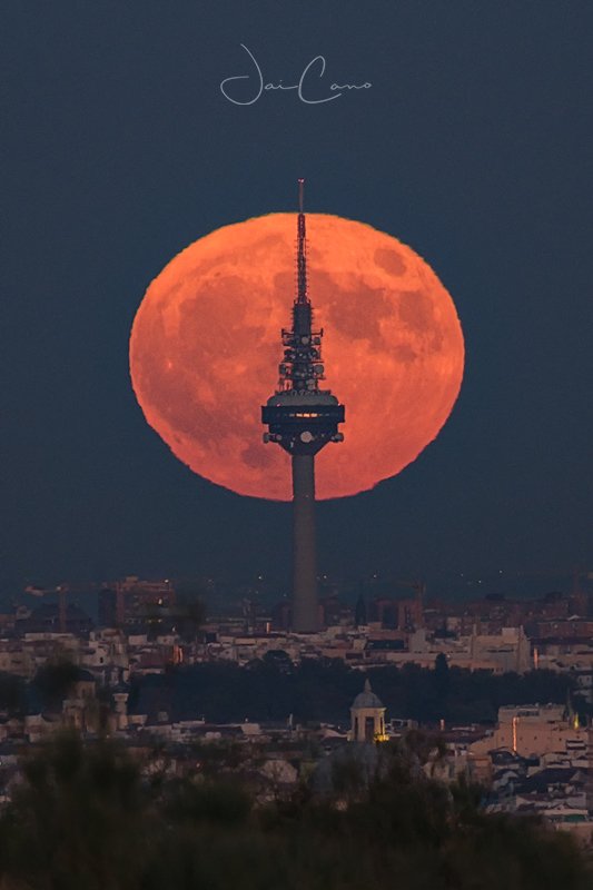 jaicano's tweet photo. : : L u N a  a Z ú L  : :

Porque es la segunda luna del mes.
Dos fotos tomadas en la misma zona pero de diferentes sitios....para hacer esto hay que correr...

@VanguardPhotoES 
@FOTOGRAFIARTE2 
@PlanetarioMad 
@SecretosdeMadri 
@tiempobrasero https://t.co/t2nS4575jq