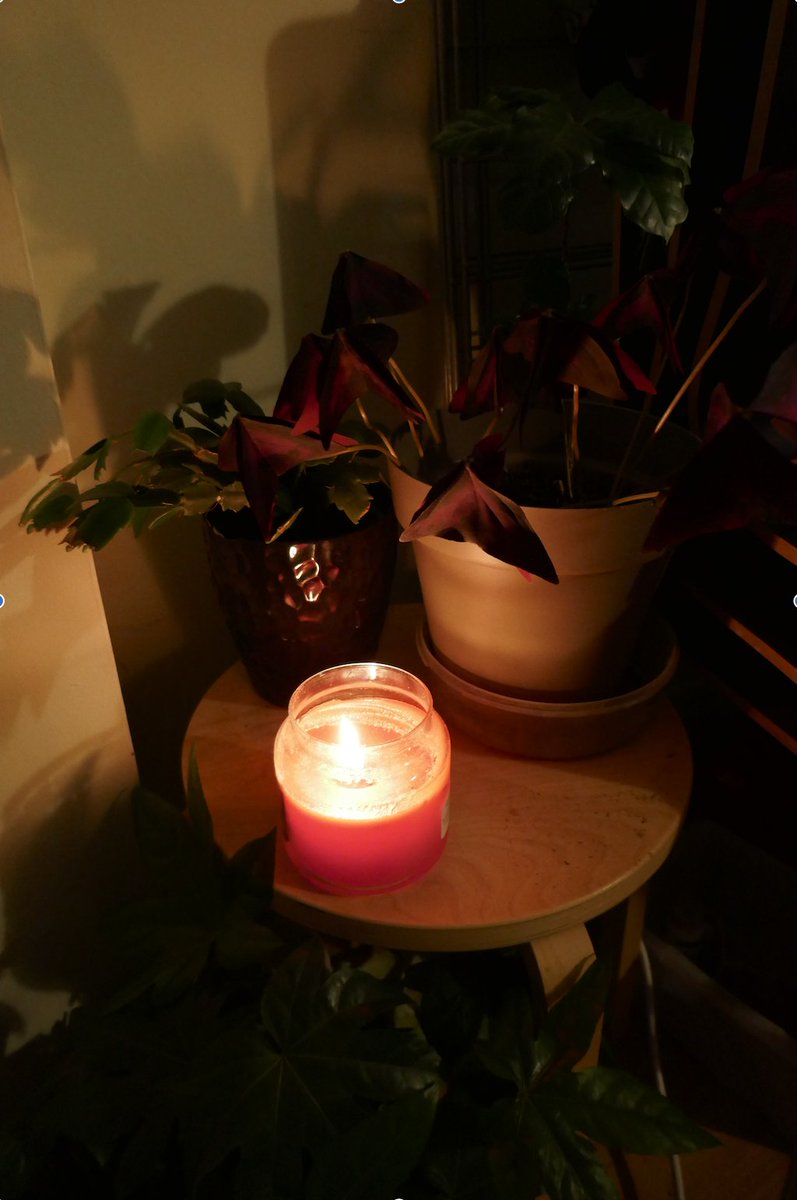 bernadettebrady's tweet photo. #alightatdusk
Thinking of all who have died this year, especially Paddy H. https://t.co/RM7AegWsBs