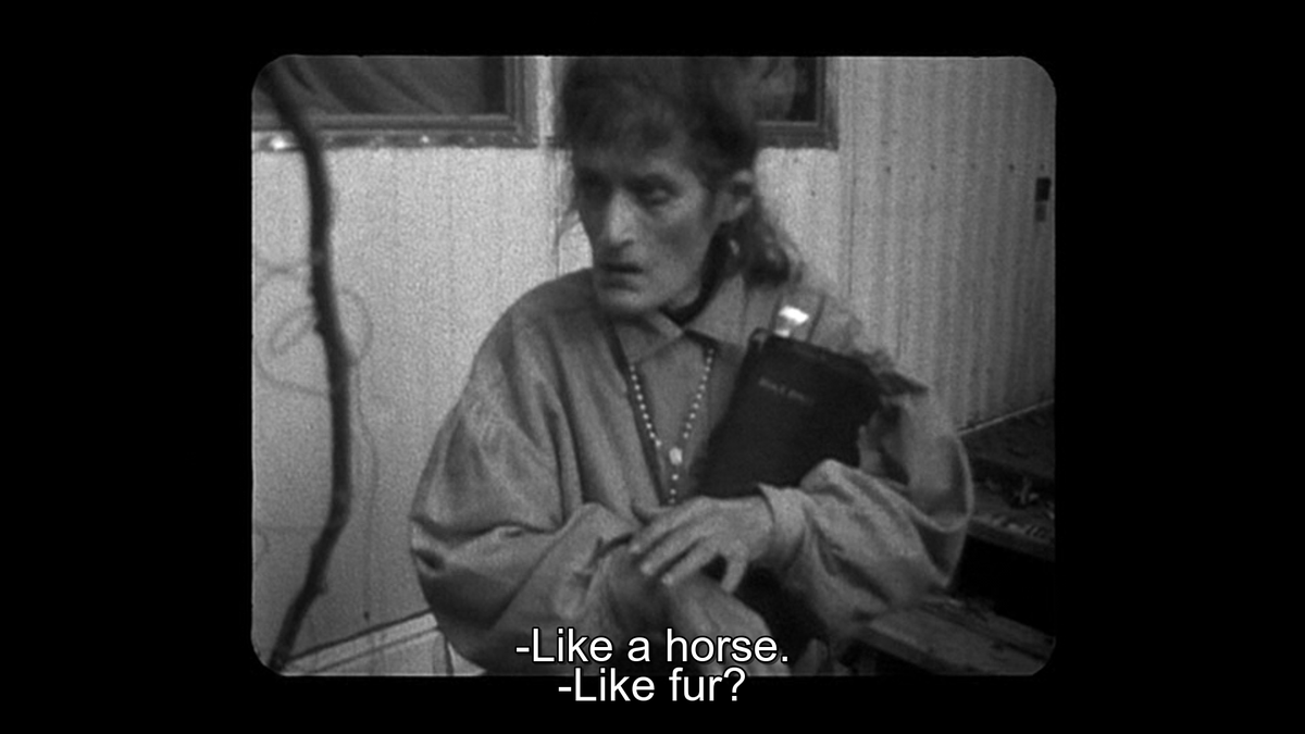 i'm really glad that they incorporate these non-canonical stories though because they really detract (in the best possible way) from the Official Myth set up by e.g. the website or the curse of the blair witch fake-out. you just can't nail the story down that cleanly. ever