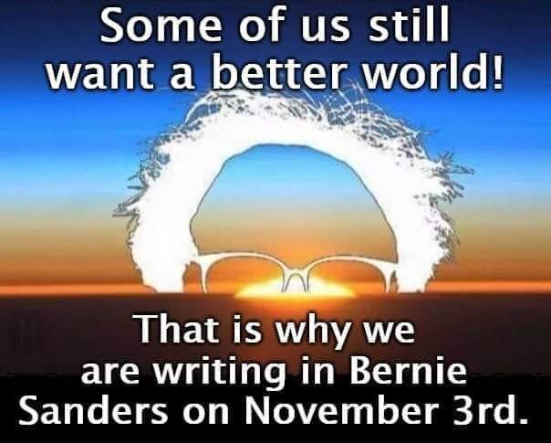 CarolineSUSPEN's tweet photo. @IlhanMN I'm so utterly fed up with the VBNMW ideology of #TrumpDerangementSyndrome. Just #WriteInBernie AND get #PresidentBernieSanders2020 because he's our ONLY hope against the Oligarchy https://t.co/nUQu7qknai