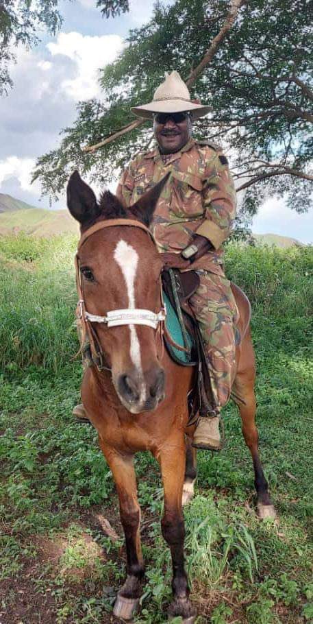 ADFinPNG tweet media