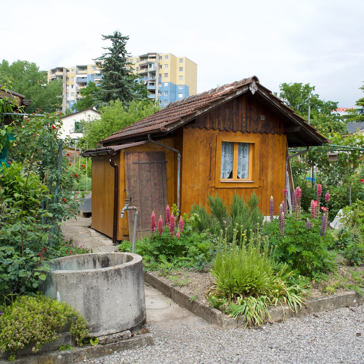 HuttersUK's tweet photo. Allotment chalet in Geneva, Switzerland #huts #cabins #sheds #chalets #hut #cabin #hutting #hutters https://t.co/R5hg1upGgi