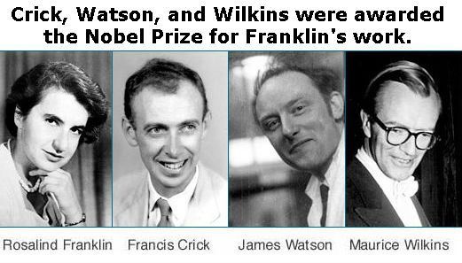 In the shadows of every celebrated scientist, there are other contributors who may be more deserving of our adulation. 

#ScienceResearch #FemaleScientists #ScienceHistory #InclusiveScience #RosalindFranklin

undark.org/2020/10/22/the…