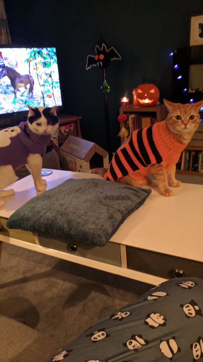 pepper__anne's tweet photo. @jamieeast Aldous 👻 and Bo 🎃 https://t.co/65vBMY8YyS
