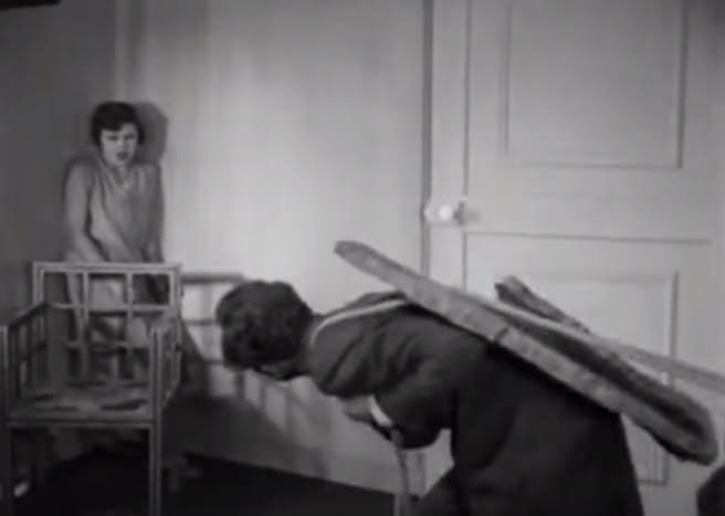 28.Quem: Gaspar NoéFilmes que dirigiu: Carne (1991), Love (2015) e Clímax (2018)Filme de terror favorito: Um Cão Andaluz (1929)Diretor do filme favorito: Luis Buñuel