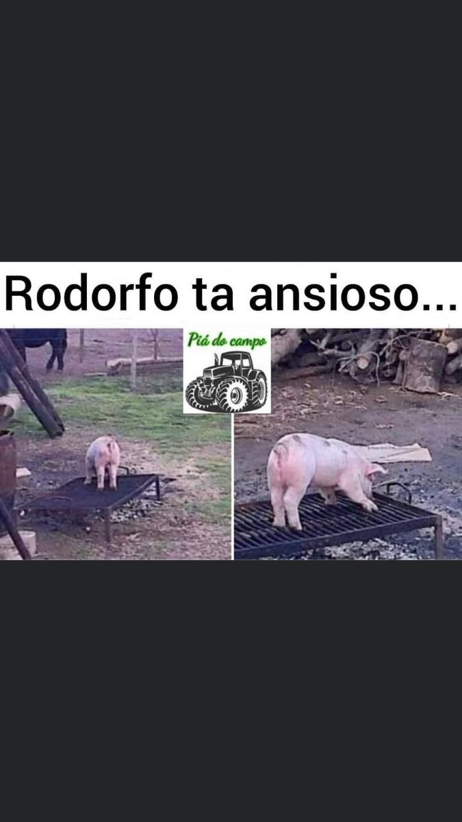 Julio11911272's tweet photo. @frasesdem3rda https://t.co/4d8TPFDRp3