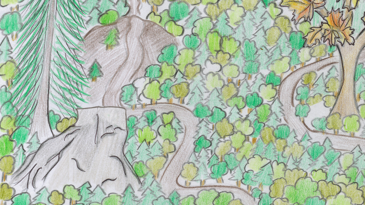 jesslohm's tweet image. She expertly sidled down the slippery, muddy hill and swung around a big spruce tree. It towered over the flat rock where she sat down and wiggled into the opening she’d cut through the thick brushes, leading to her backyard.

#LilyBowers #sprucetrees #savethetrees #ecofantasy