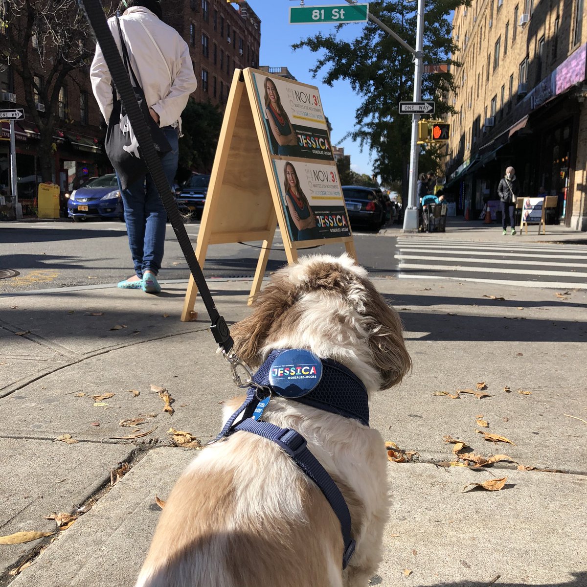 votejgr's tweet photo. Scenes from our Halloween 🎃#GOTV effort outside #JacksonHeights #EarlyVoting pollsite! Team JGR, Team @AOC @NYWFP &amp; @MaketheRoadAct ✊🏽 #VoteWFP #VoteJGR  #VoteAOC  #Vote https://t.co/i1gdrB8Pii