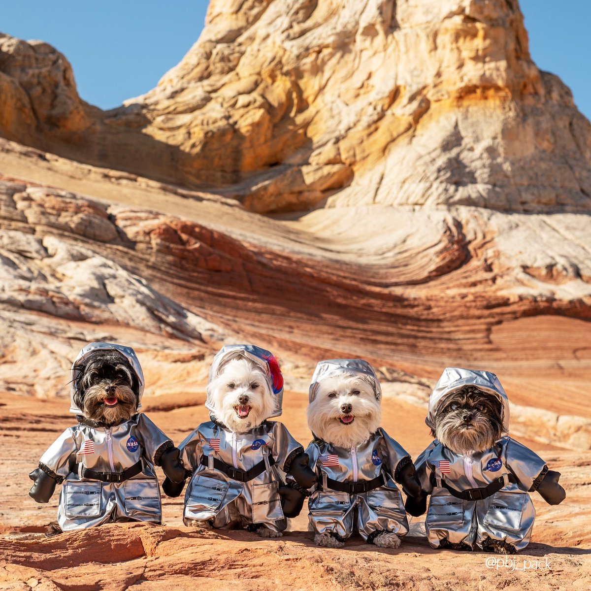 PBJ Pack tweet media