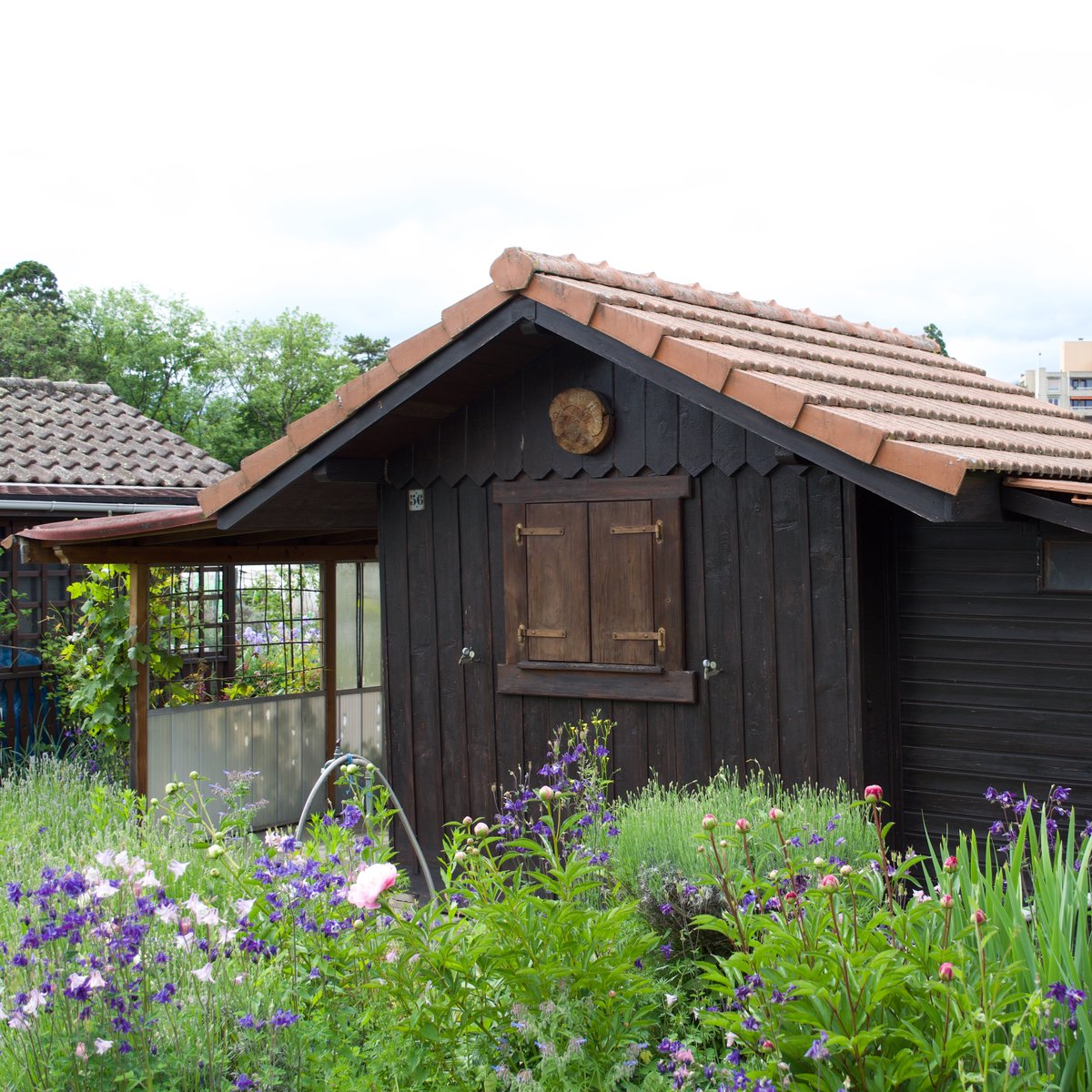 HuttersUK's tweet photo. Allotment chalet in Geneva, Switzerland #huts #cabins #sheds #chalets #hut #cabin #hutting #hutters https://t.co/XHqRfCep2Z