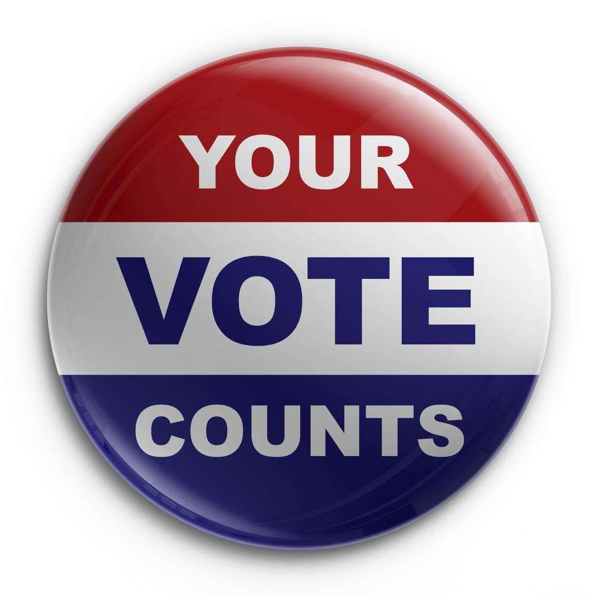 bsbadger's tweet photo. It's time to make your voice heard! Vote by dropping your #EarlyVote ballot in an official drop box or at your polling place. Otherwise, vote IN-PERSON on TUESDAY, November 3rd! #Vote2020 #KansasVotes #KSSen #KS02 #KS03 https://t.co/NxPtF7IcLH