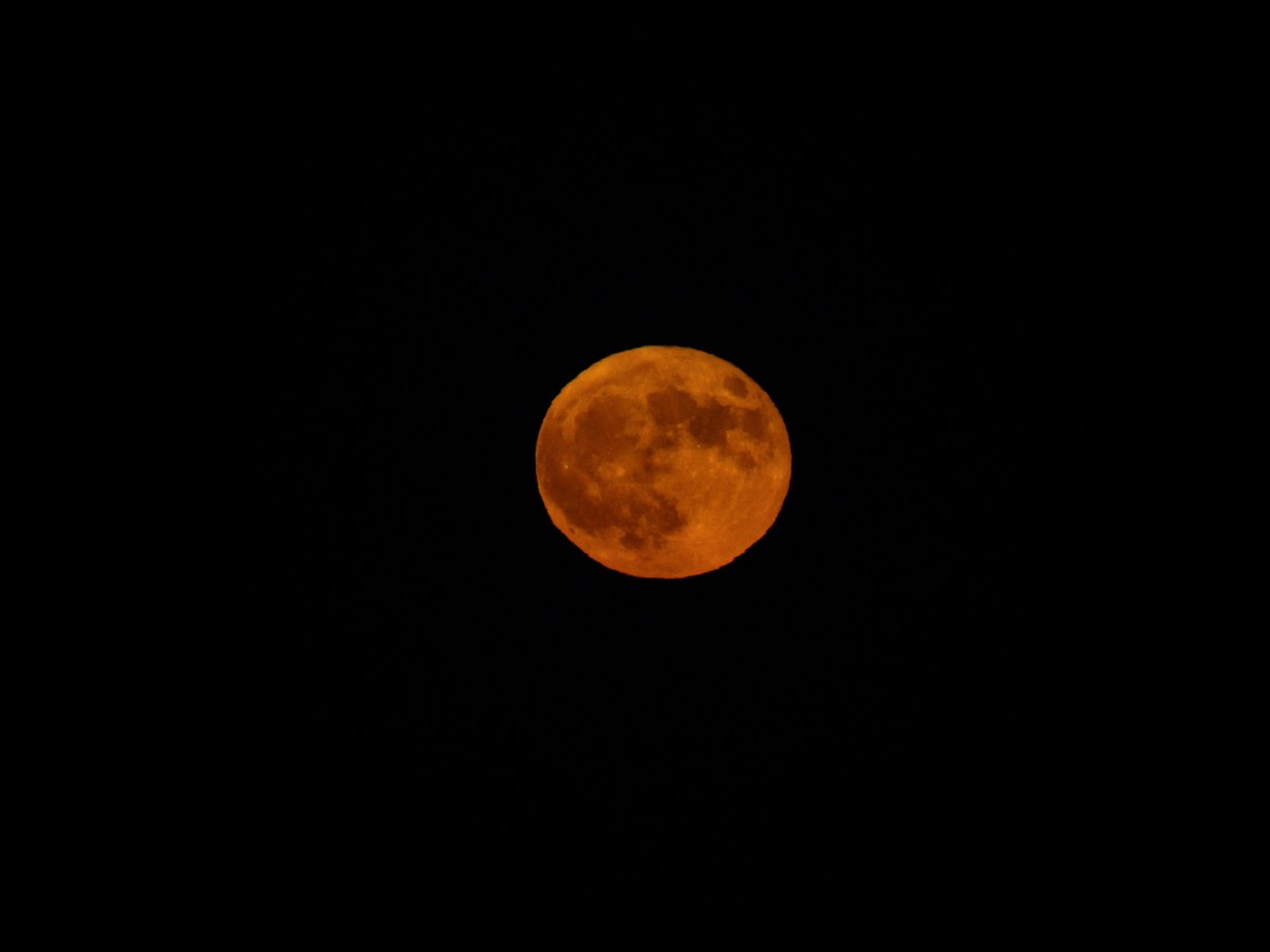 The #BlueMoon looked orange for #Halloween as it rose over #VanCortlandtPark this evening.