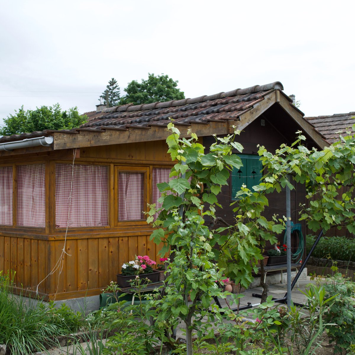 HuttersUK's tweet photo. Allotment chalet in Geneva, Switzerland #huts #cabins #sheds #chalets #hut #cabin #hutting #hutters https://t.co/aGpV1GmsCK