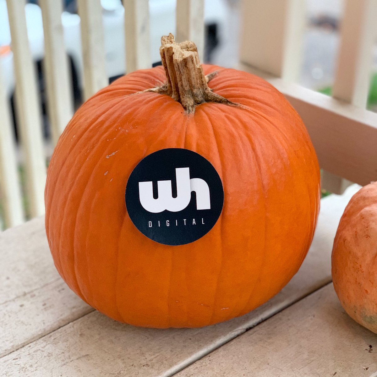 We're here for all the #pumpkins 🎃 and #treats 🍬  Happy Halloween! 👻

#Halloween #HappyHalloween #Halloween2020 #WHDS #digitalagency #creativeagency #creativetalent #whdigital #techentreprenuers #pittsburghtech #pghtech #contentcreator #pgh #pghcreative #pghcreatives #agency