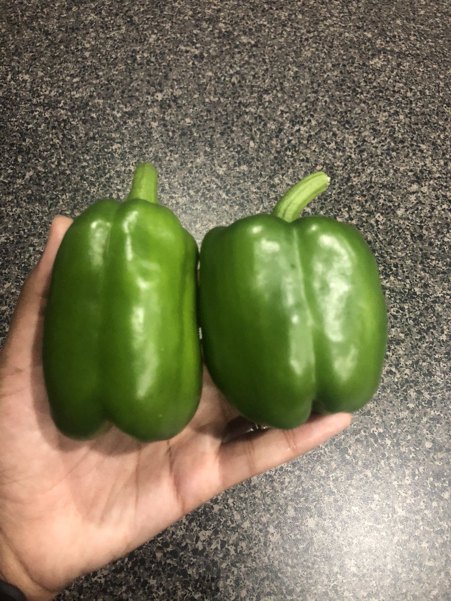 Next is peppers! Peppers are my favorite to grow! The larger peppers are all carnival peppers and just look at them! They’re gorgeous and so sweet! I also grew cowhorn peppers, jalapeño peppers, ghost peppers (idk why lol), and serrano peppers which are all spicy.