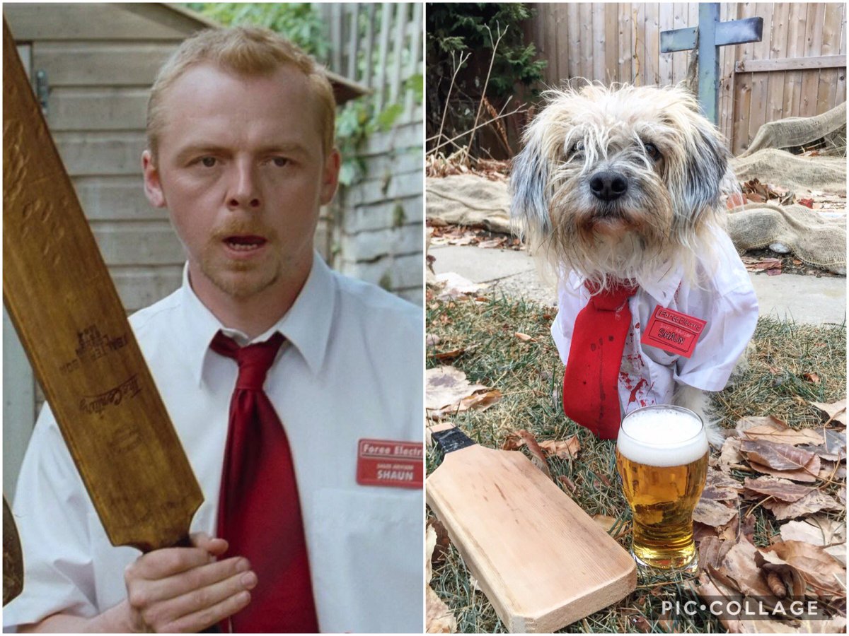 "Let's go to the Winchester, have a nice cold pint, and wait for this all to blow over." This might be my proudest dog mom moment ever. <a href="/simonpegg/">simonpegg</a> <a href="/edgarwright/">edgarwright</a>