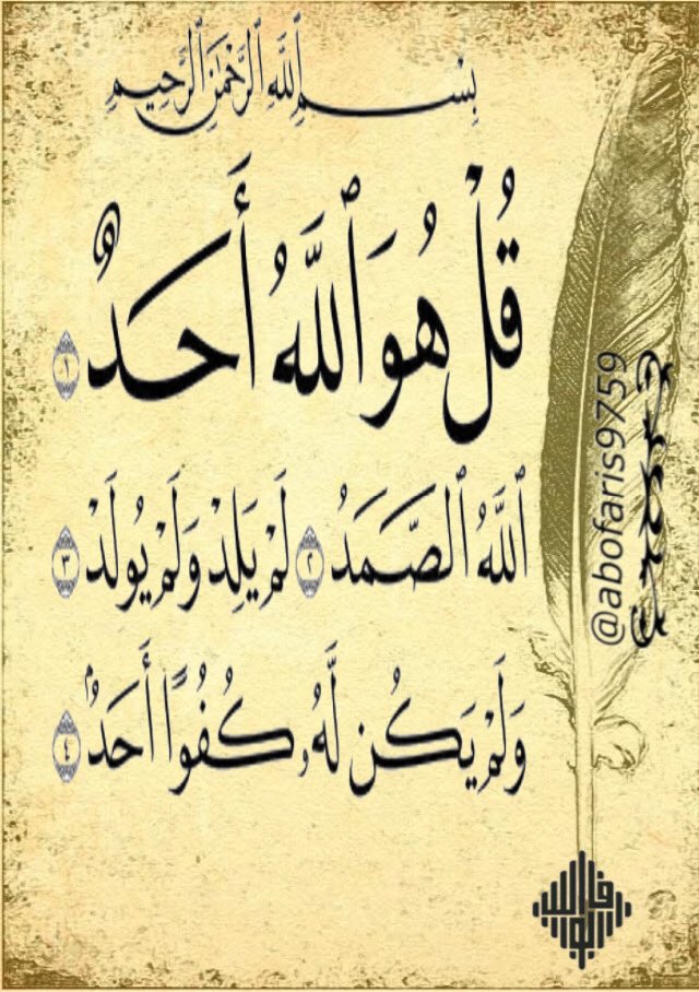 ﮼ابوفارس ﮼محمدالركاد tweet media